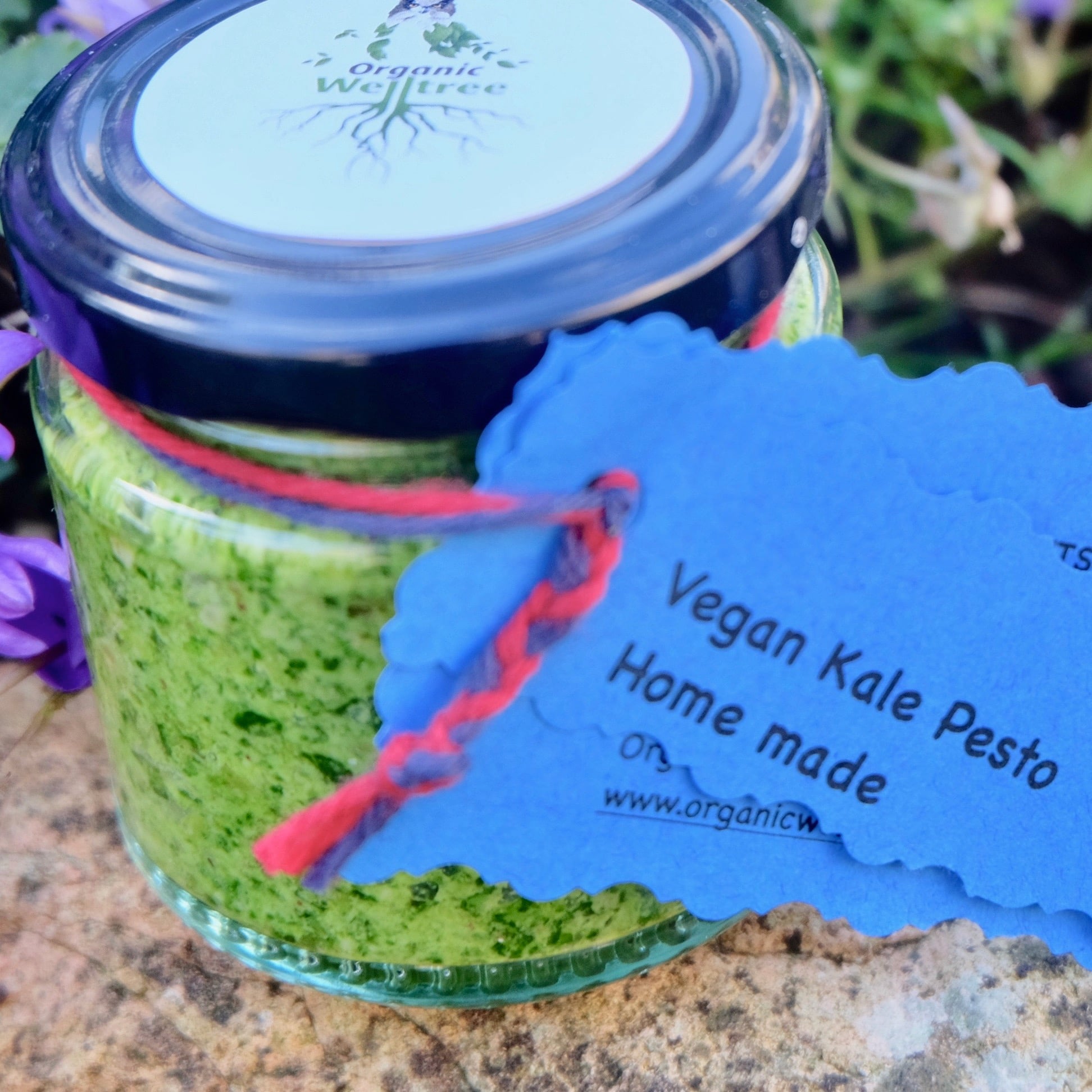 Vegan Kale Pesto (125g)